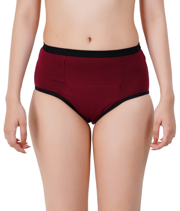 Period Panty Max Soft Combo- Medium to Heavy flow - Image 4