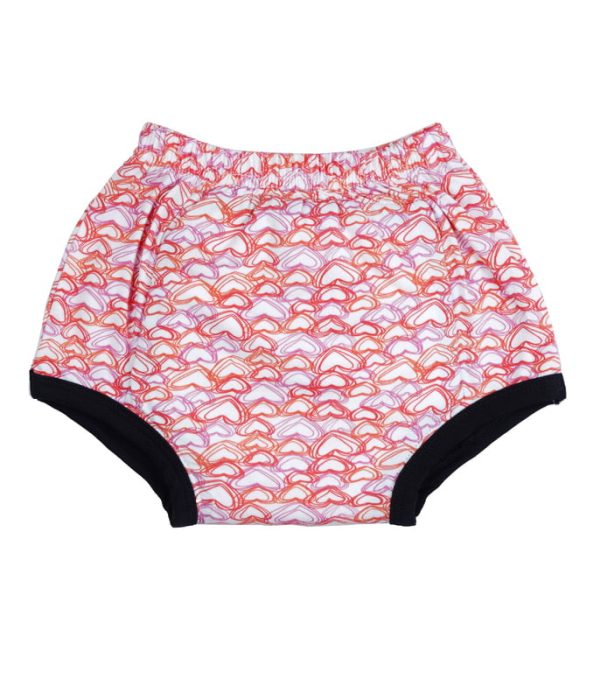 Padded Underwear - Potty Training Pant - Image 1