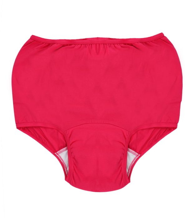 Raspberry Incontinence Brief - Image 1